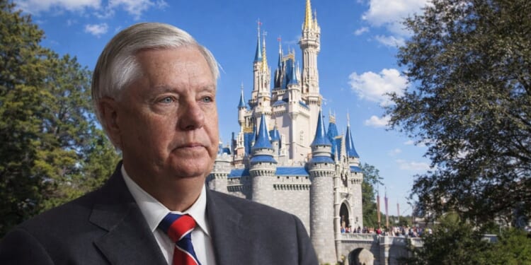Meet Senator Lindsey Graham, The Saddest Disney Adult