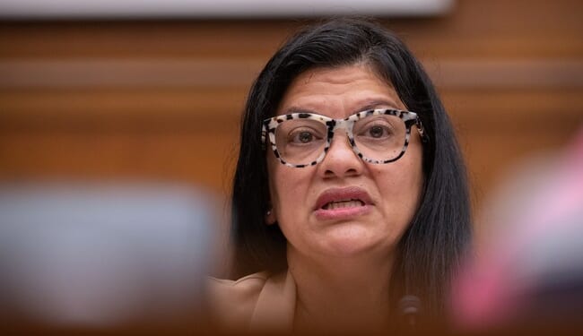 BIG MAD Rashida Tlaib SHREDDED for Accusing Israel of APARTHEID Over New Law Punishing TERRORISTS – Twitchy