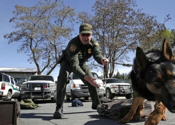 A Straightforward Vote On Protecting Police Dogs — Dems Went Which Way?