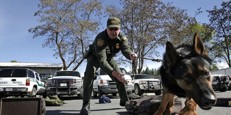 A Straightforward Vote On Protecting Police Dogs — Dems Went Which Way?