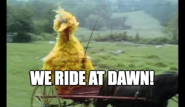 Candace Owens BRAVELY Demands X 'Ride With Her at Dawn' to Save Tucker Carlson annnd LOL, We Got Nothin' – Twitchy