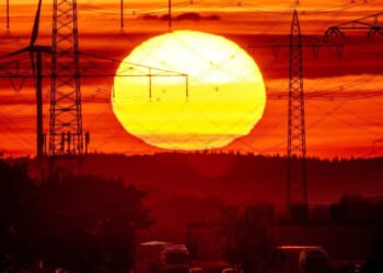 Climate change fuels spread of dangerous Aspergillus fungus