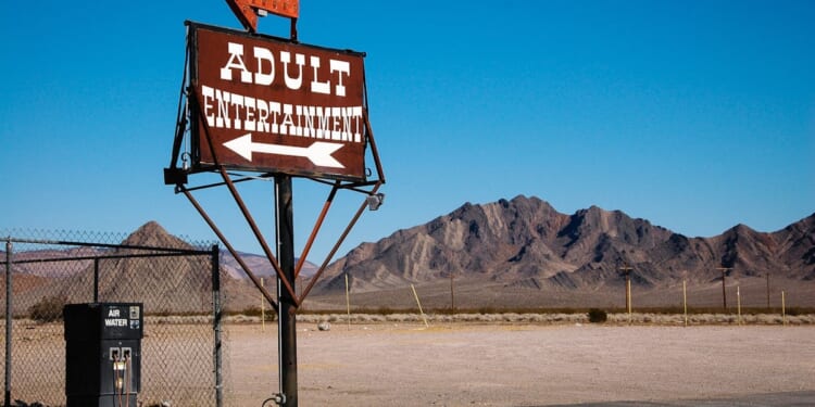 How ‘Adult’ Entertainment Makes Us More Juvenile