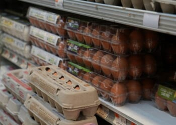 Judge dismisses Trump administration lawsuit over California egg prices