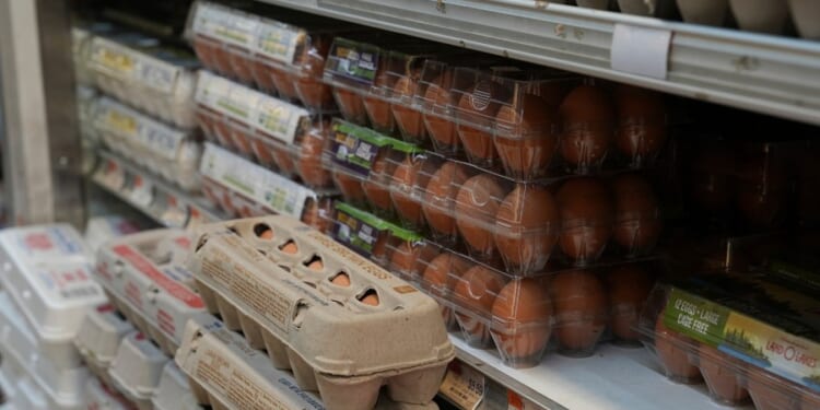 Judge dismisses Trump administration lawsuit over California egg prices