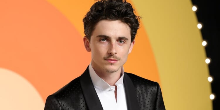 Timothée Chalamet Still Getting Slammed For Saying Ballet And Opera Are Dead