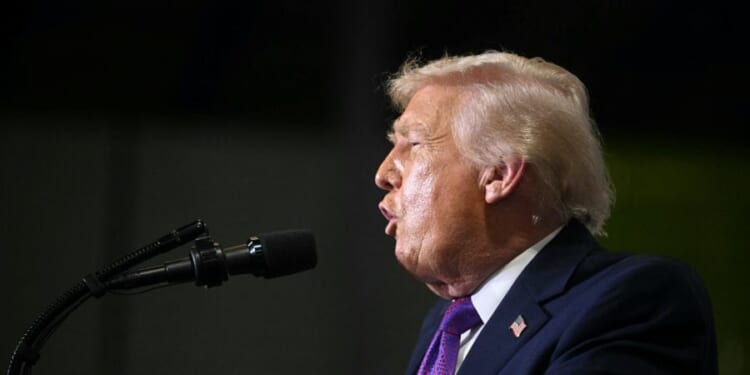 Trump backs Herrera for Texas House seat after Gonzales drops bid