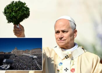 Pope Leo marks first Easter as pontiff with call for hope amid global conflicts