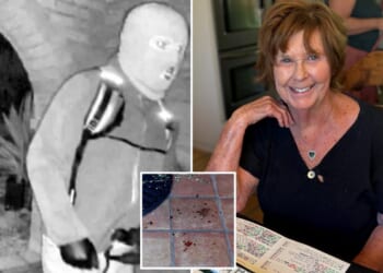 Nancy Guthrie's kidnappers likely didn't know she was so fragile -- and dumped her body because she was 'no longer of value,' expert says