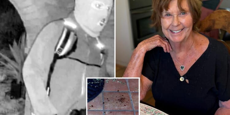 Nancy Guthrie's kidnappers likely didn't know she was so fragile -- and dumped her body because she was 'no longer of value,' expert says