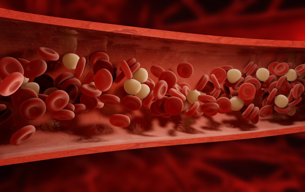 Illustration of red and white blood cells flowing through a blood vessel.