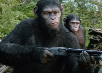 Ape-solutely BANANAS! WSJ Reports on Hair-Raising Civil War That Is Ravaging Africa – Twitchy