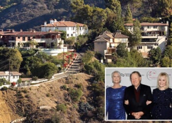 Fred Rosen rails against train under his wealthy Bel Air community
