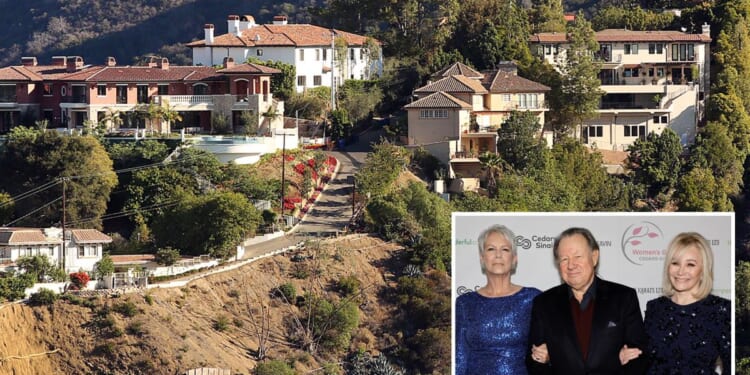 Fred Rosen rails against train under his wealthy Bel Air community