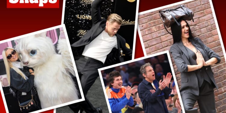 Star snaps of the week: Paris Hilton, Timothée Chalamet, Ben Stiller and more