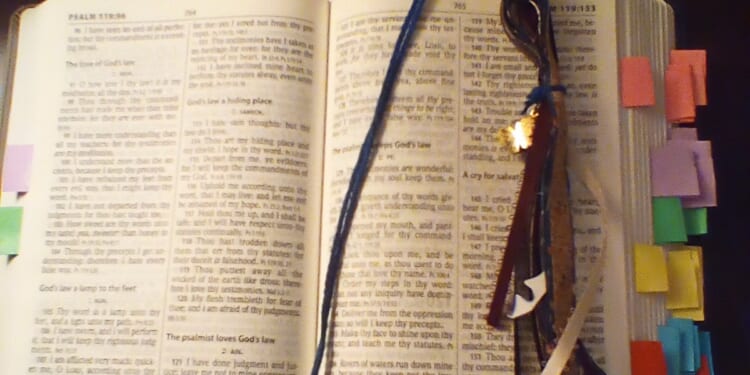 Explaining My Prayer Bible | Plain Christian Wife