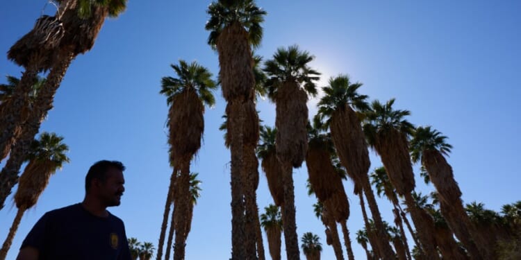 A 'super' El Niño may be on the way. Here's how it will impact summer weather