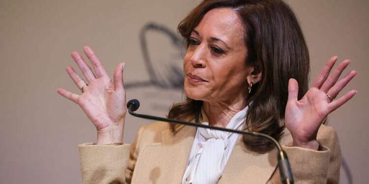 DNC Chair Pressed On Why Party Is Hiding 2024 Election Autopsy