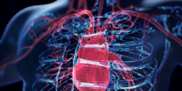 Did CIA Use Covert Tech To Find Lost Airman?