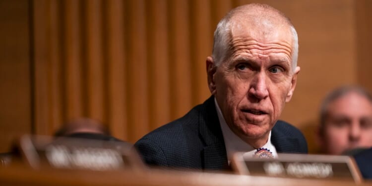 GOP senator: Trump’s proposal to slap US tolls on ships in Strait of Hormuz would be ‘crazy’