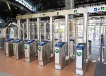 One Hardline Change And Crime Starts Falling Almost Overnight