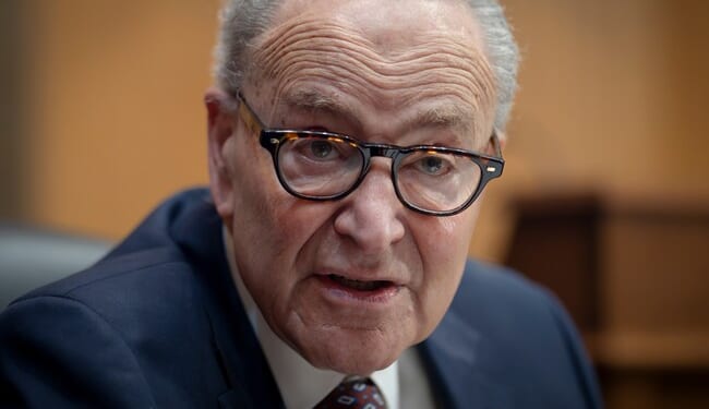 Schumer and Dems Ignorantly Invoke Segregation Laws As Race-Based Districts Fall – Twitchy