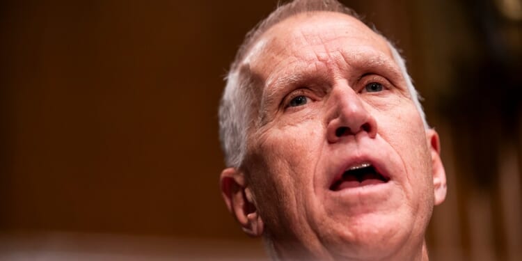Tillis on Trump's reasoning for posting AI Jesus image: 'I’ll take it at face value'