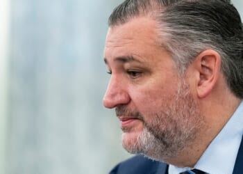 Trump faces conservative blowback over Spirit Airlines rescue