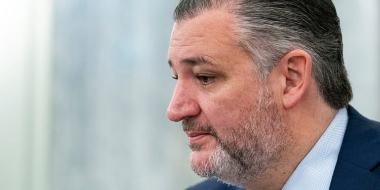 Trump faces conservative blowback over Spirit Airlines rescue