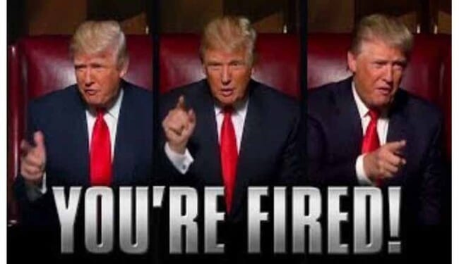 USA Today Does Puff Piece on ‘Poetic’ Mission of Fired Amnesty-Happy Immigration Judge – Twitchy