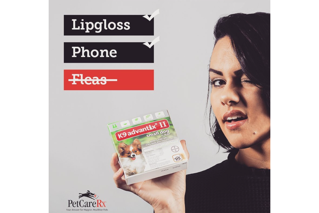 A woman winking holding a box of pet flea medicaine and the words "Lipgloss, check, phone, check, and fleas (crossed out) 