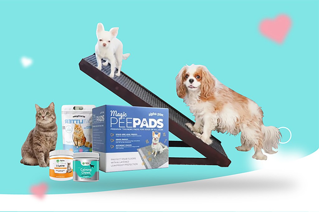 Two dogs on a seesaw and a cat on the side with pet supplies in the middle of a blue and white background with a pink heart 