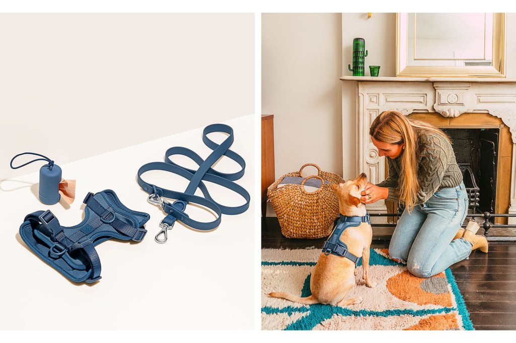 On the left, an assortment of blue dog leashes and harness, and on the right a woman pets her dog while he wears the harness 
