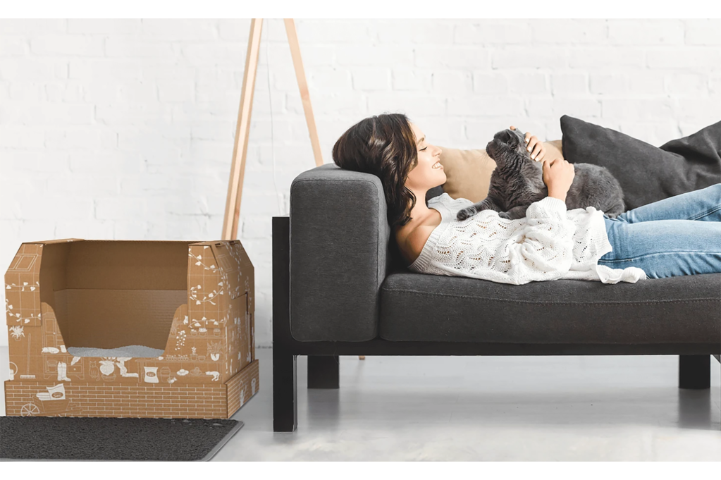 A woman on the couch with her cat and a cardboard litter box on the floor 