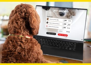 The 14 best online pet stores of 2026