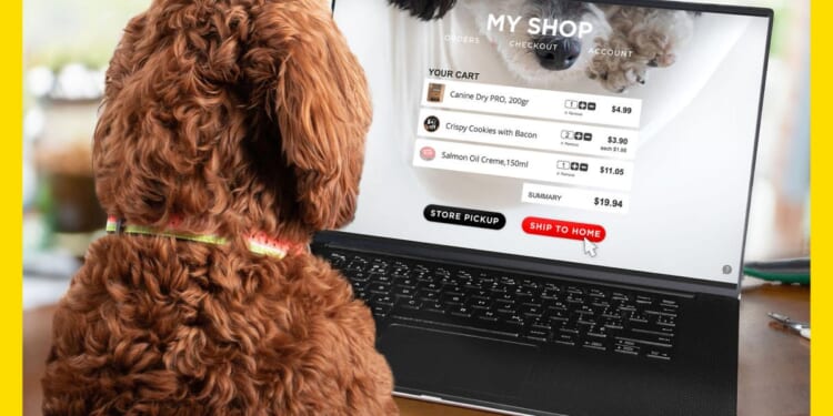 The 14 best online pet stores of 2026