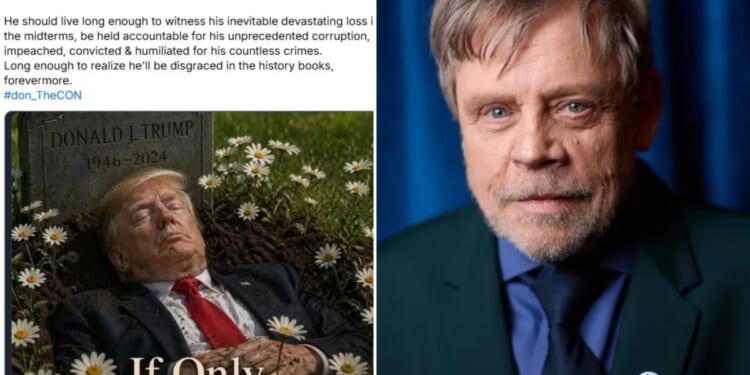 ‘Star Wars’ actor Mark Hamill deletes Trump death image, posts apology