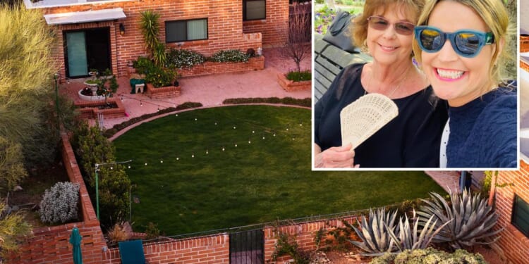 Chilling 'last stand' clue that shows Nancy Guthrie was alive when abducted: retired FBI agent
