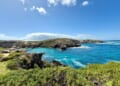 Australian man killed in shark attack at Horseshoe Reef near Rottnest Island