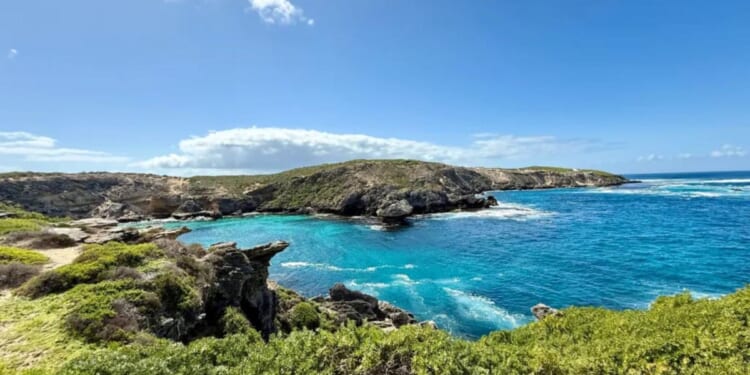 Australian man killed in shark attack at Horseshoe Reef near Rottnest Island