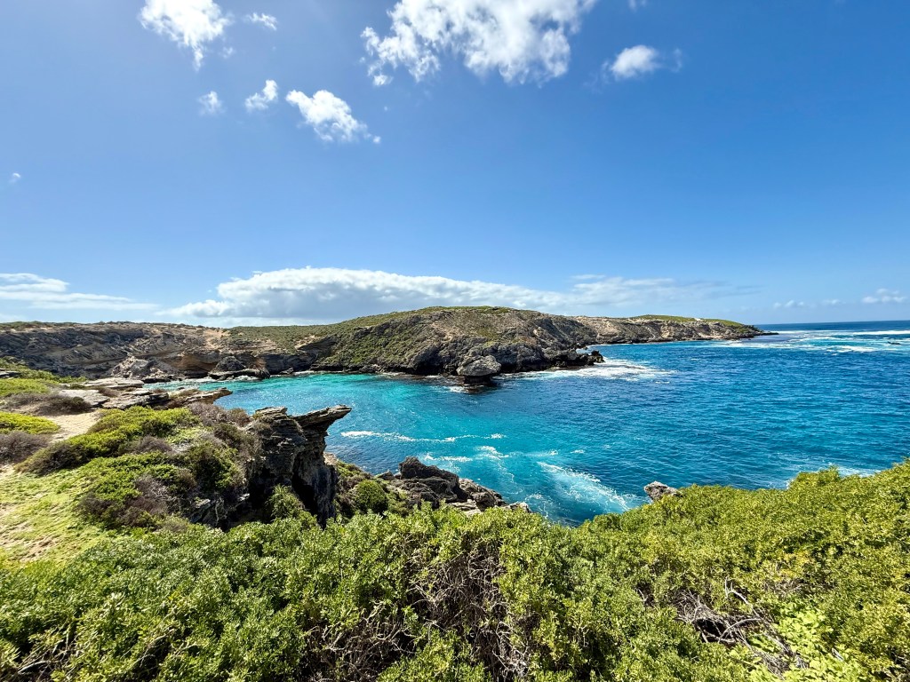 The 38-year-old victim, yet to be ​identified, was bitten on Saturday morning ​at Horseshoe Reef near Rottnest Island, about ⁠19.2 miles west of state capital Perth.