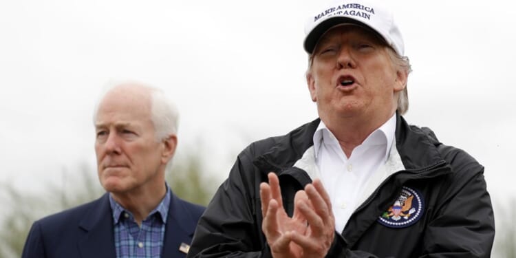 Cornyn on Trump endorsement hopes: 'I think that ship has finally sailed'