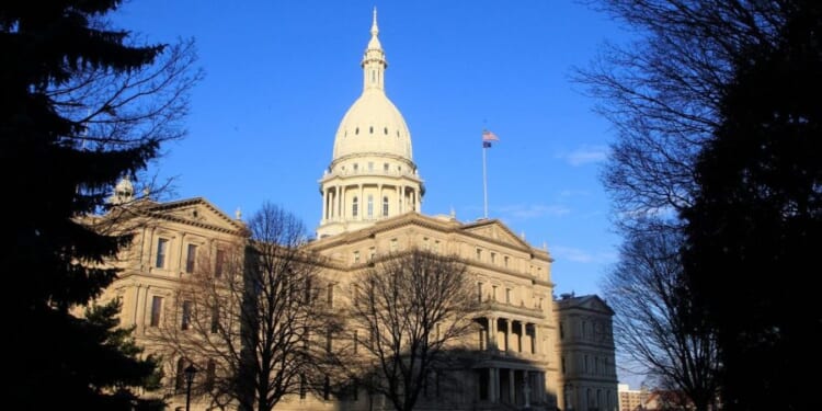 Democrats in Michigan keep state Senate majority with special election win