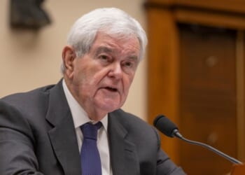 Gingrich says Trump-Xi meeting could be ‘remarkable breakthrough’