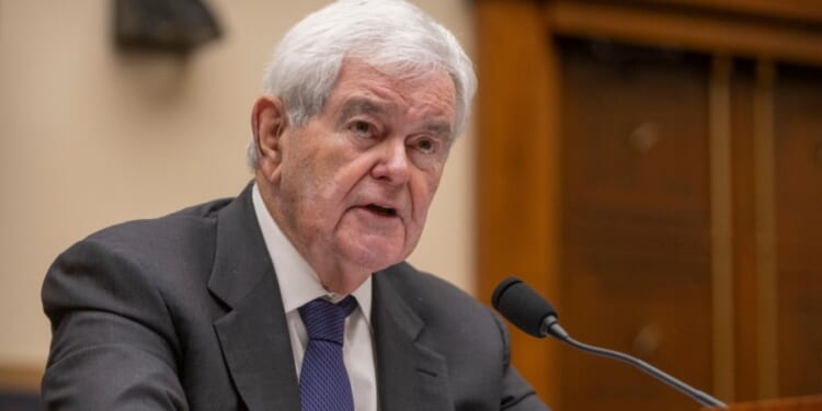 Gingrich says Trump-Xi meeting could be ‘remarkable breakthrough’