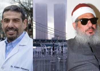 Hamawy Is Denounced by 1993 World Trade Center Bombing Survivors Who Are Appalled a Friend of the Blind Sheikh May Soon Be in Congress