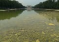 Mr. Science Says the Blue Reflecting Pool Will Just Support Even Greater Algae Growth – Twitchy