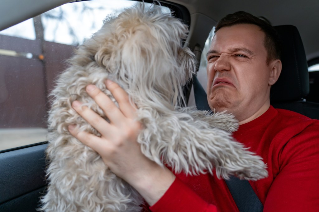 Man holding shaggy dog.