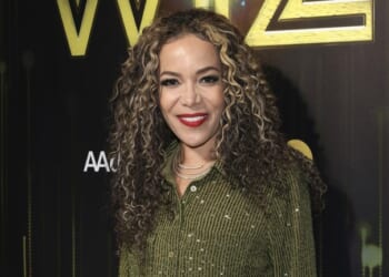 Sonny Hostin Says Her Kids Have Fewer Civil Rights Since SCOTUS Ended Race-Based Congressional Districts – Twitchy