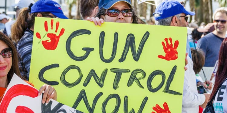 The ‘Commonsense Gun Laws’ That Didn’t Stop Trump Assassination Attempt
